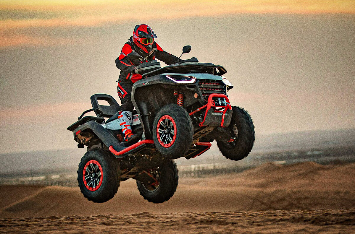 Snarler AT6 – bilde 7