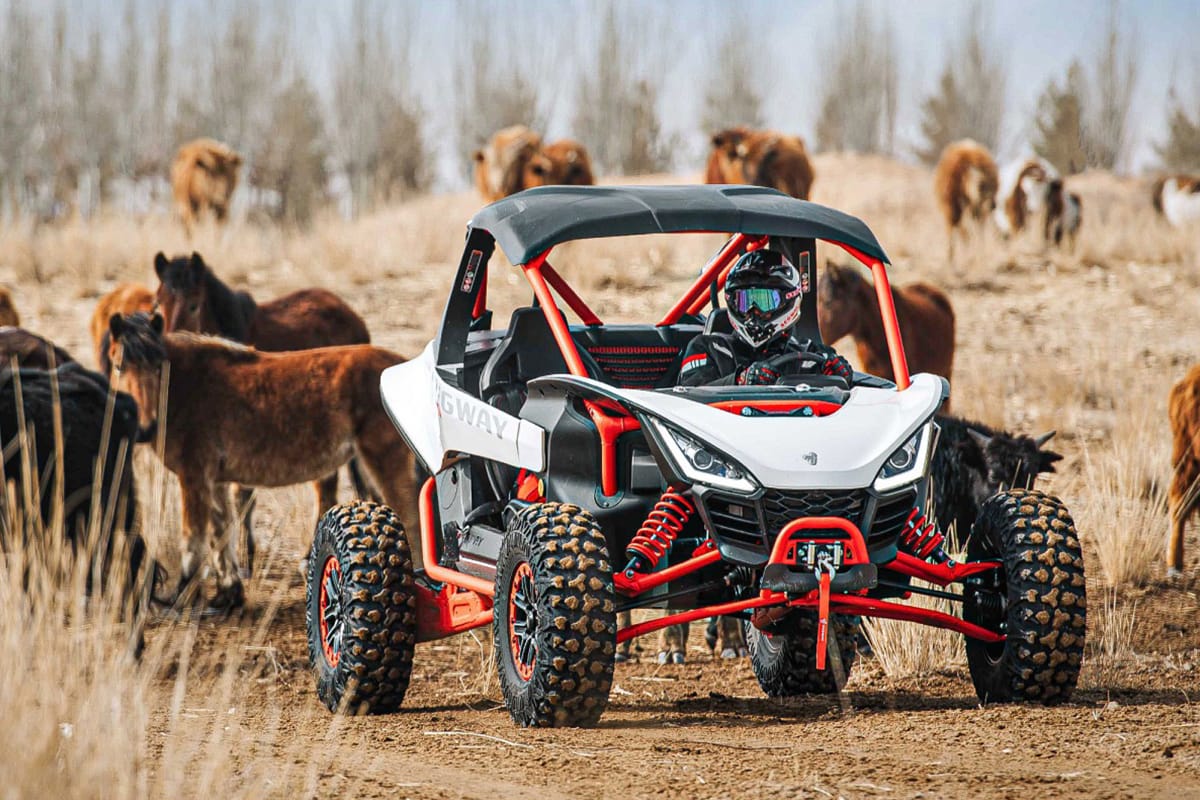 Villain SX10 – bilde 4