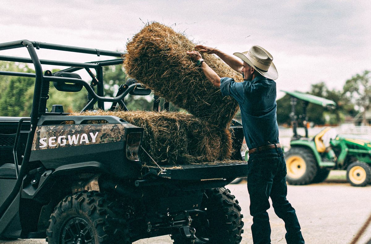 Fugleman UT10 Crew – bilde 6