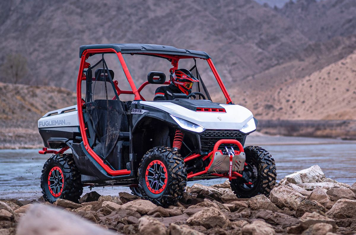 Fugleman UT10 – bilde 4